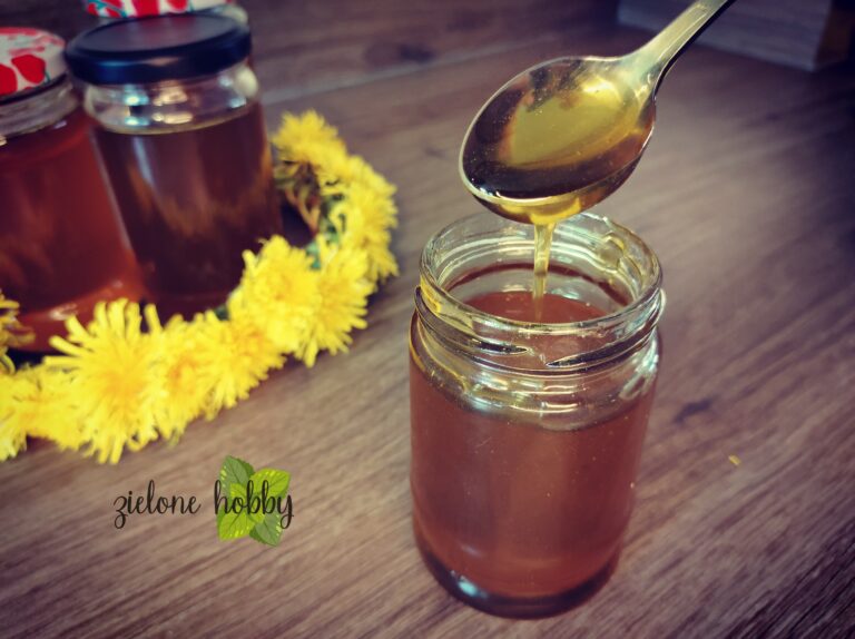 Syrop z mniszka lekarskiego