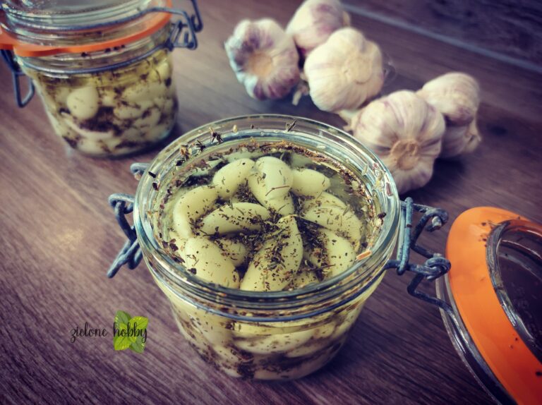 Czosnek w oleju i ziołach